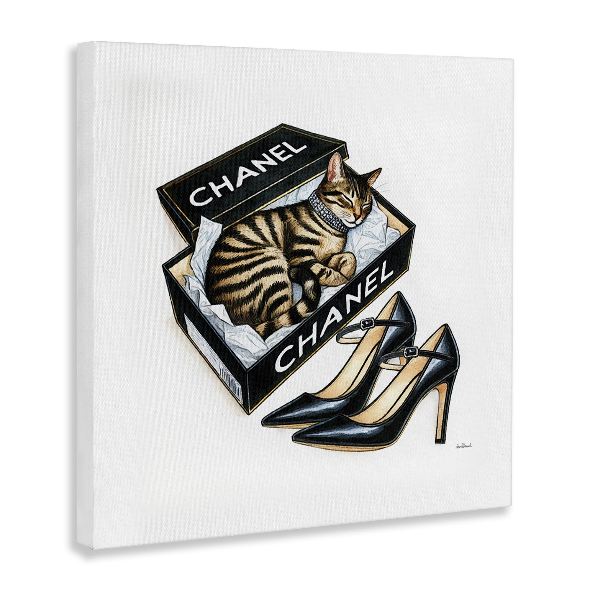 Stupell Industries Sleeping Cat in Shoe Box Animals Painting Wrapped Canvas Art Print Wall Art, 36 x 36