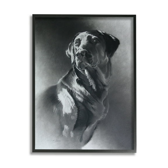 Stupell Industries Charcoal Pencil Labrador Dog Portrait Vintage Pet Animals & Insects Drawing Black Framed Art Print Wall Art, 24 x 30