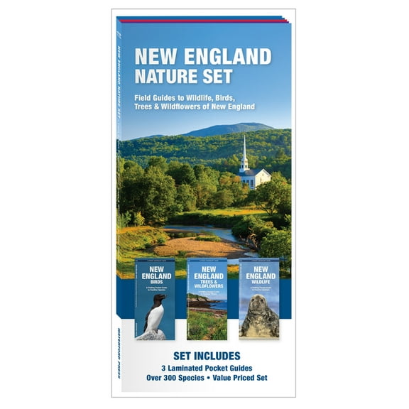 Nature Observation North America New England Nature Set: Field Guides to Wildlife, Birds, Trees & Wildflowers of New England, (Paperback)