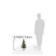 thumbnail image 6 of Perfect Holiday 2ft Tabletop Christmas Tree, Lightweight, 68 pvc branch tips with plastic Stand, Evergreen, 6 of 6