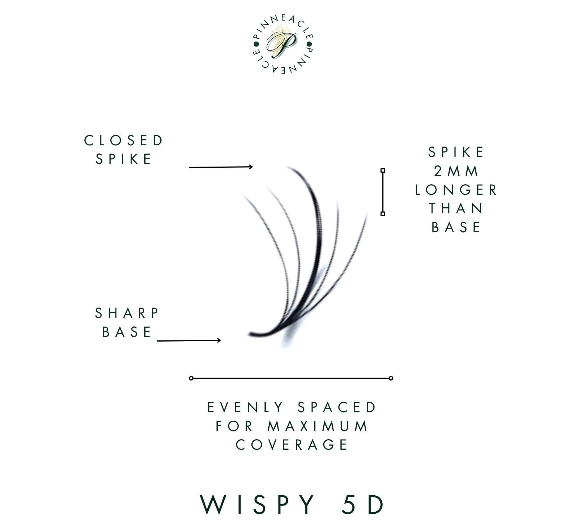 5D Wispy | 1200 Fans | Premade wispy volume fans for professional eyelash extension, promade lash tool | Handmade in Vietnam (5D | C | 12-16mm | Brown)