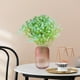 thumbnail image 4 of Flores, gypsophila, decoración para bodas, decoración para el hogar, arreglos florales, flores artificiales, 4 of 7