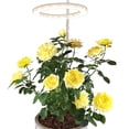 thumbnail image 3 of CNKOO Anneau de Lumière de Croissance pour Plantes, Lumières de Croissance LED pour Plantes d'Intérieur, Anneau de Lumière UV pour Plantes, Lampes de Croissance pour Serre Intérieure, 3 of 10