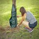 thumbnail image 1 of bolso de la irrigación del árbol 75l, bolso de riego, 1 of 4