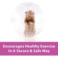 thumbnail image 3 of Kaytee Run-About Ball for Hamsters, Gerbils and Other Small Animals, Clear 7 Inches, 3 of 11