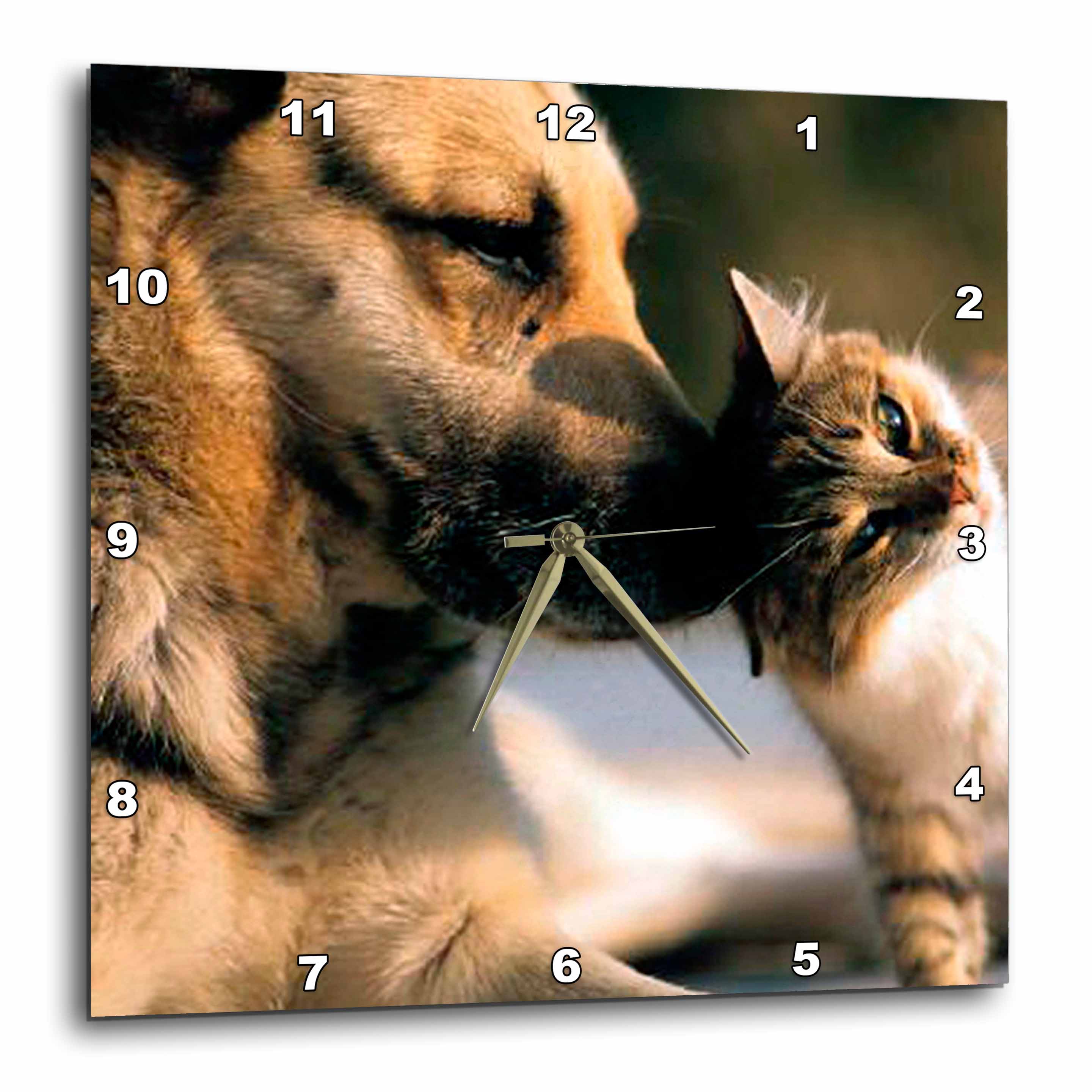 3dRose Cats and Dogs - Wall Clock, 10 by 10-inch - Walmart.com