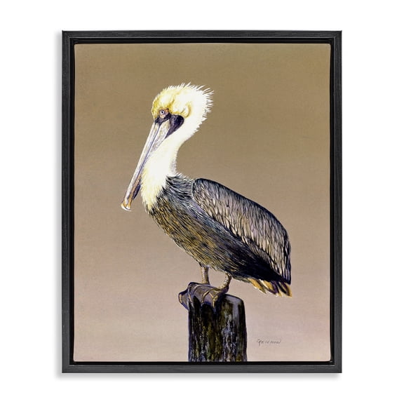Stupell Industries Coastal Pelican on Perch Black Floating Frame Canvas Art, 17 x 21, by Christine Reichow