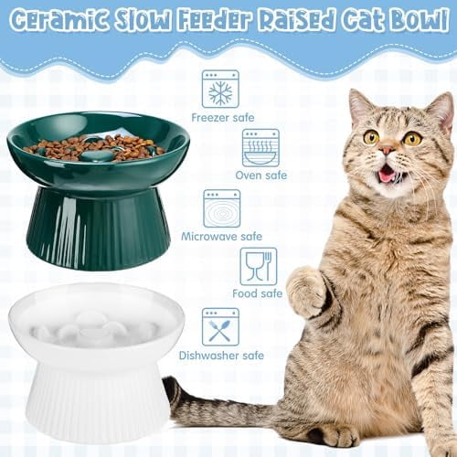 2 Pcs Raised Cat Slow Feeder Bowl Ceramic Elevated Cat Dog Food Bowl No Spill High Edge for Dry Wet Food and Water Easy to Clean, Dishwasher Safe (Dark Green,White)