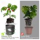 thumbnail image 3 of s de de tela negra piezas, bolsas de plantas transpirables, plantas inteligentes de 2 galones CUTICAT Contenedor de cultivo de patatas de tela, 3 of 8