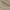 Taupe, variant on Superior 3-Pieces High-Durability Cotton-Blend Bedspread Set, King, Slate Blue