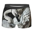 thumbnail image 3 of Haiem Elegant Swans Black Background Men's Boxer Briefs, Every Day Comfort Stretch Cotton Moisture-Wicking Underwear-Small, 3 of 8