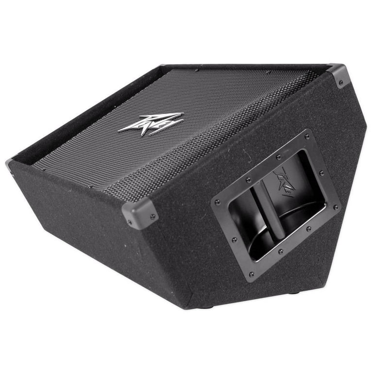 佐渡宿泊素泊まり　Peavey PR15 スピーカー 　国内希少 PEAVEY ピーヴィー PV15M ペア フロアモニタースピーカー☆現状品
