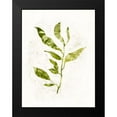 thumbnail image 2 of Borges, Victoria 15x18 Black Modern Framed Museum Art Print Titled - Sapling I, 2 of 5