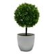 thumbnail image 1 of Wosthever Bonsái de plantas artificiales de mantenimiento de bajo costo para fácil cuidado decoración elegante bonsái pequeño árbol Decoración verde, 1 of 6
