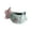Green, variant on Fish Fleshy Plant Planter Pot Ceramic Small Planter Figurine Plant Pot for Mini Plant Maintenance Indoor Use