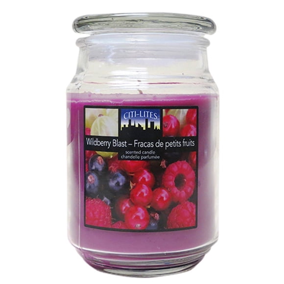 Citi-Lites 18 Ounce Apothecary Jar-Wildberry Blast 104124