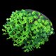 thumbnail image 4 of Adorno de plantas de acuario Gloria de plastico Cm para pecera, 4 of 6