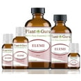 thumbnail image 3 of Elemi Essential Oil 10 ml 100% Pure Undiluted Therapeutic Grade., 3 of 3