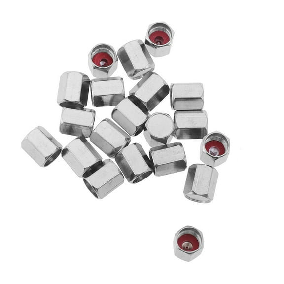 WORGEOUS 20 Pcs Tire Valve Stem Caps Tire Valve Caps Silver