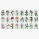 thumbnail image 3 of 2025 Flower Bouquet Blocks Christmas Advent Calendar 2024, Xmas 24 Days Sunflower Bouquet Blind Box, 3 of 5