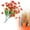 Orange, variant on U.S Decorative Home Artificial Orange Monkey Daisies
