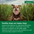 thumbnail image 4 of Advantus Chewable Flea Treatment for Dogs 4 - 22 lbs. | 30 Soft Chews, 4 of 7