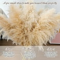 thumbnail image 3 of 24 pcs Tall Pampas Grass Decoration -  40 Inch Large Pampas Grass Dried Flower Decoration,for Bohemian Style Living Room Decoration, Wedding Decoration, Party, Farmhouse Decoration, 3 of 13