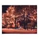thumbnail image 1 of Tapiz de Chimenea ANGGREK decoración de Navidad Suave para Fondo de Fotografía, 1 of 5