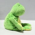 thumbnail image 2 of Ty Pluffies - Ponds the Green Frog  – Solid Eyes  - Stuffed Animal, 2 of 5