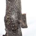 thumbnail image 5 of Gild Design House Vase en Résine Polystone Grand Tronc d'Arbre en Brun, 5 of 5