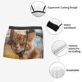 thumbnail image 6 of Balery Relaxing Cat With Orange Juice Men's Boxer Briefs, Soft and Breathable Cotton Underwear with nylon Waistband-XX-Large, 6 of 9