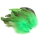 thumbnail image 5 of 50 Uds. de plumas para manualidades DIY, accesorios de artesanía, decoraciones de plumas de pollo ligeras y suaves portátiles para fabricación de Verde BLESIY Plumas para manualidades, 5 of 8