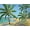 Unframed, variant on Art.com Tropical Beach - Mini Art Print by Todd Williams, 16" x 12"