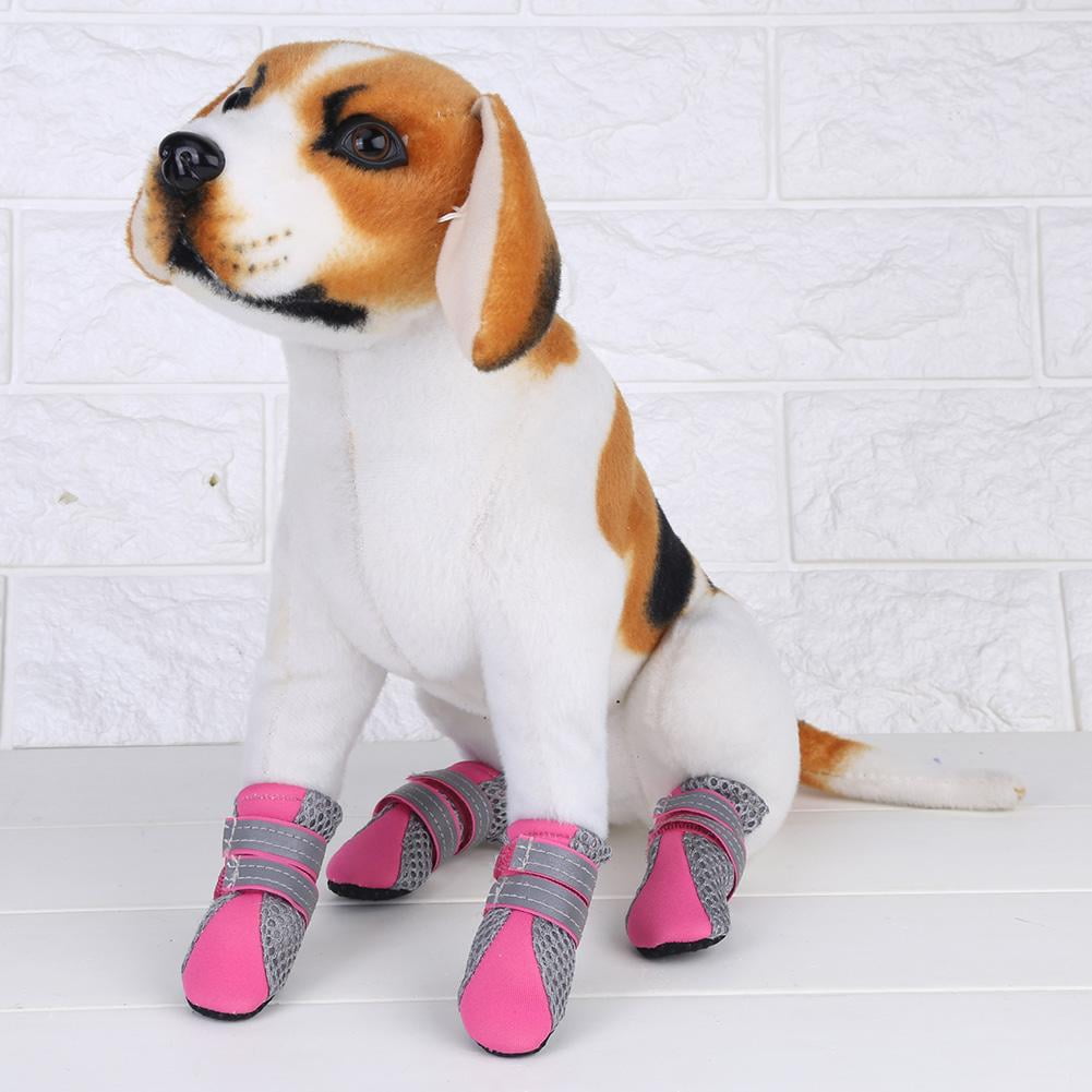 puppy boots