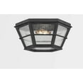 thumbnail image 4 of C2514-FRN-Troy Lighting-Lake County - 2 Light Flush Mount, 4 of 4