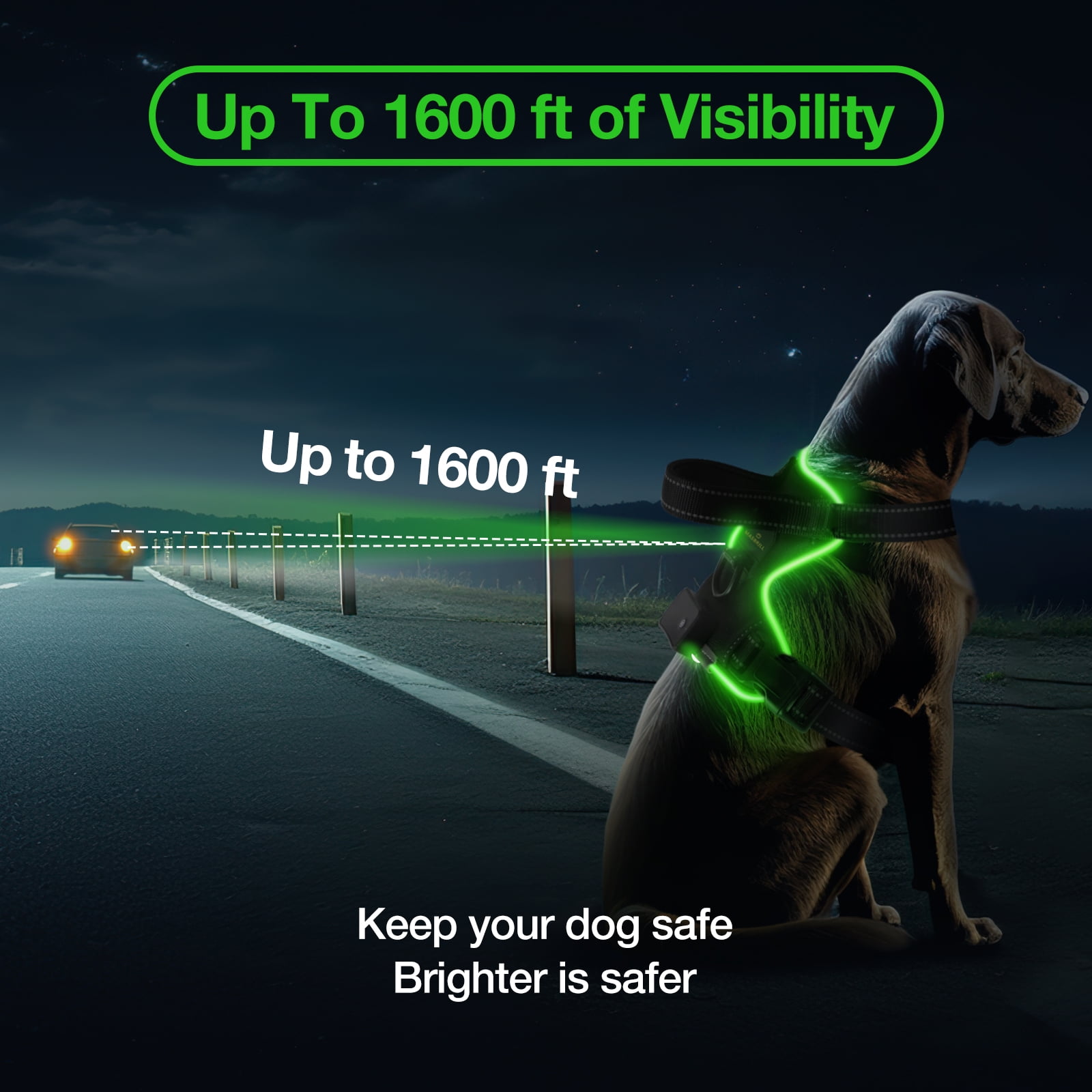MASBRILL Light Up Dog Harness - No Pull Led Dog Harness Rechargeable Lighted Dog Harness for Night Walking Adjustable Glow Vest for Small Medium Large Dogs