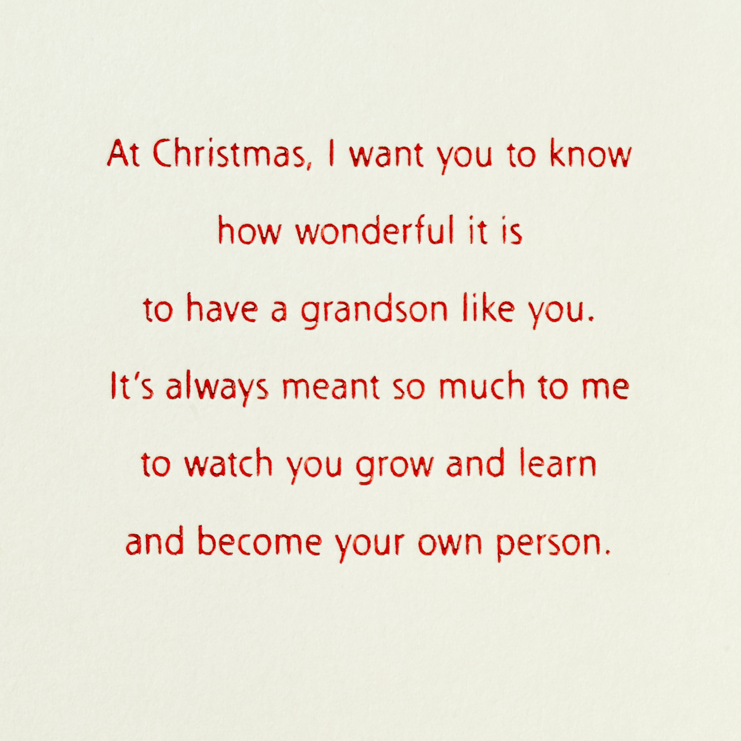 Hallmark Christmas Greeting Card for Grandson (Love, Pride and Special Memories)
