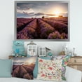 thumbnail image 3 of Designart 'Dramatic Clouds and Sunrise Over Lavender Field V' Farmhouse Framed Art Print, 3 of 4