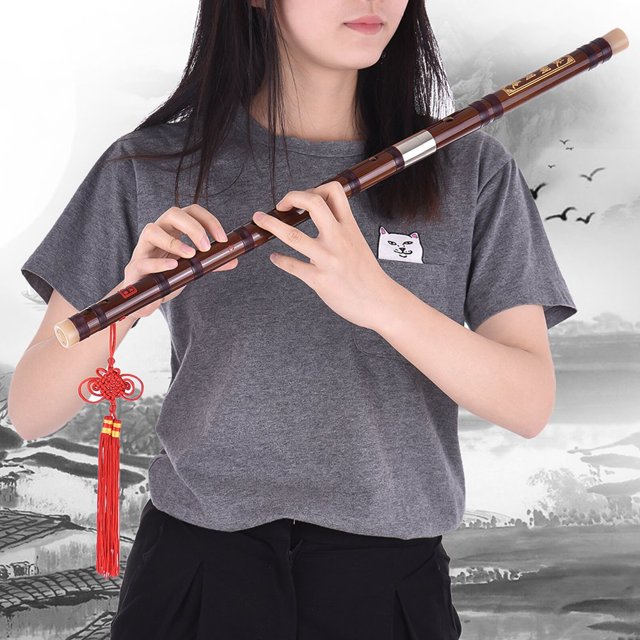 HLONK Pluggable Bitter Bamboo Flute Dizi Traditional Handmade Chinese Musical Woodwind Instrument Key of C Study Level Professional Performance