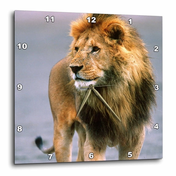 3drose, Male Lion on Dry Lake Bed, Tanzania Africa - Na02 Dno0333 - David Northcott, 10x10 Wall Clock