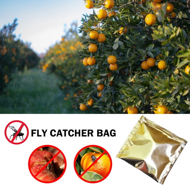 Trampas de captura de insectos herramienta de control de plagas de plagas reutilizable para chaquetas reutilizables para suministros de jardines domésticos