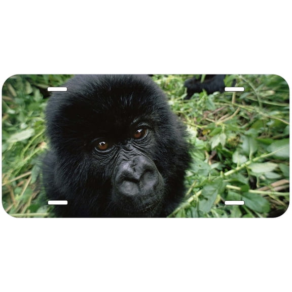 Monkey TAG04 Novelty Car Auto License Plate