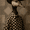 Cowboy Goose Portrait Oil Painting, variant on UXIEQU Vintage Floral Bouquet Canvas Wall Art 15.75x11.81 Inches
