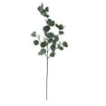 thumbnail image 4 of (2 pack) Mainstays Artificial Green Round Leaf Eucalyptus Stem, 34in Tall Floral Picks, 4 of 11