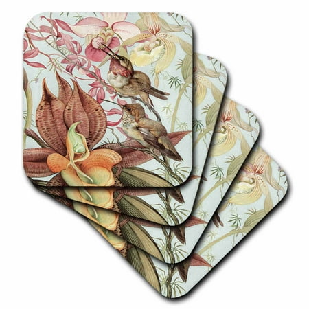 Hummingbird Coaster - 3dRose Catasetum and Cypridediums by Edward J. Detmold Orchid and Hummingbirds, Soft Coasters, set of 4