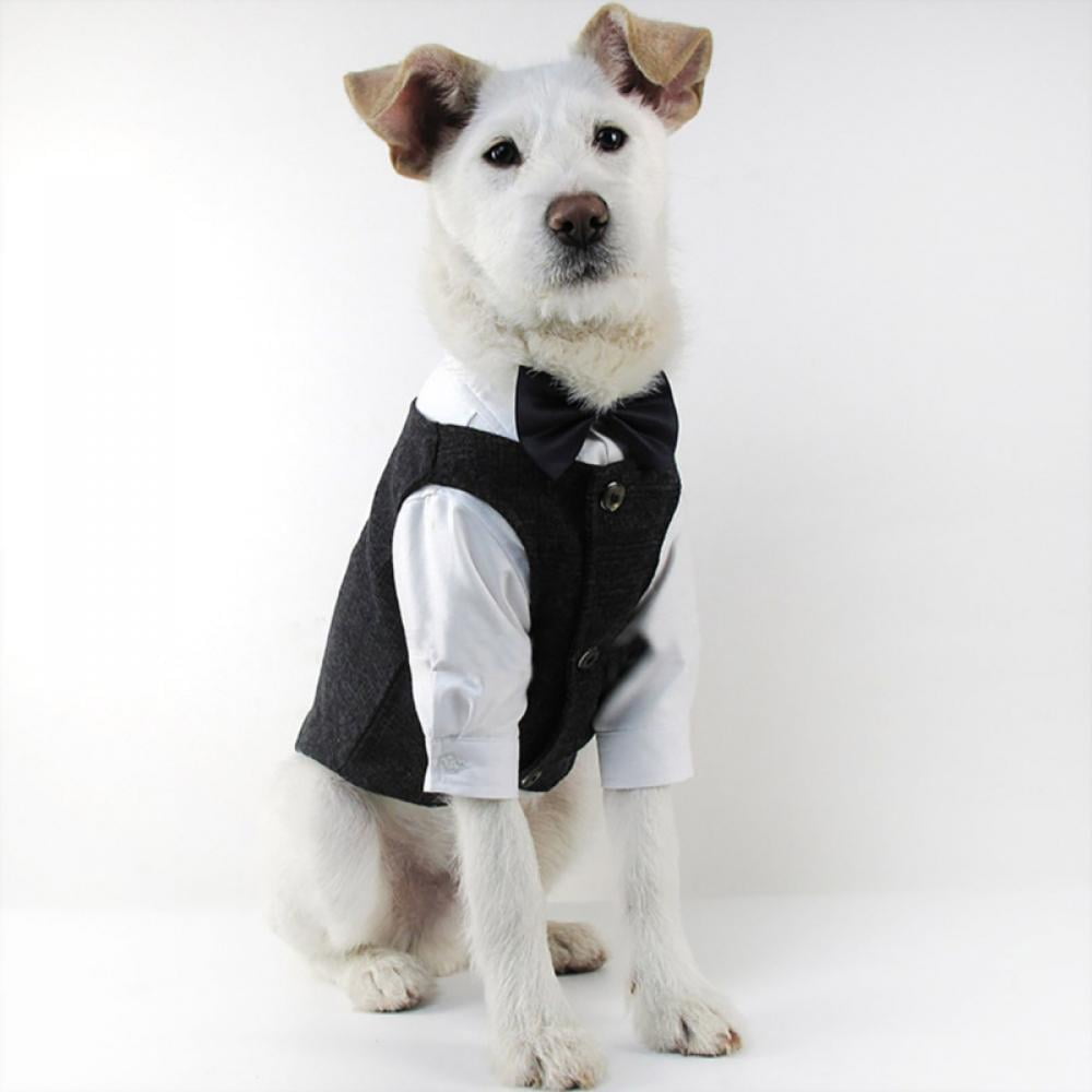 tuxedo dog sweater