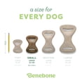 thumbnail image 4 of Juguete Dental para Perros Benebone Sabor Real a Pollo para Masticadores Agresivos Pequeños, 4 of 6