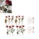 thumbnail image 5 of 12 hojas de pegatinas de flores rosas, pegatinas de hojas rojas, rosas y verdes, adhesivos fuertes, pegatinas decorativas de flores para álbumes de recortes, 5 of 5