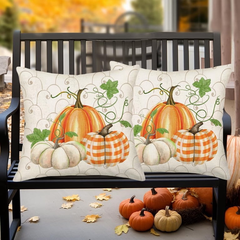 Fall Pumpkin Pillow Covers Set Of 2 – 20x20 Inch Burnt Orange & Blue Rustic Farmhouse Throw Pillow Cases For Autumn Decor