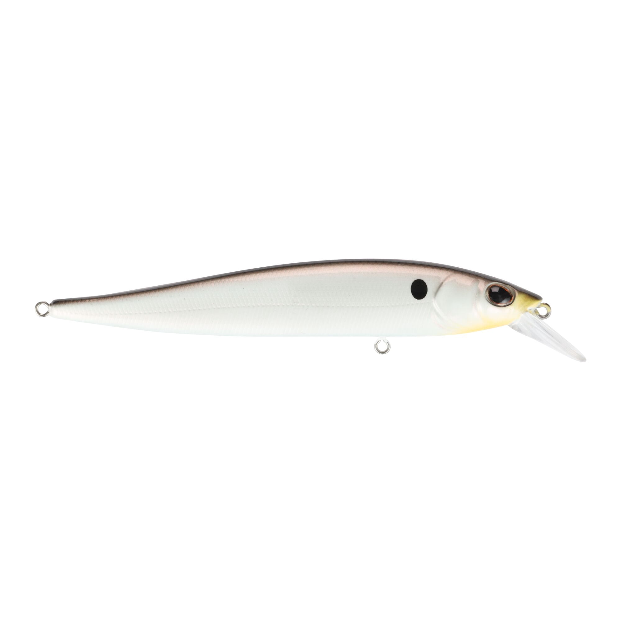 Berkley Stunna, 3 in, Jerkbaits, Stunna Shad (1 Count)